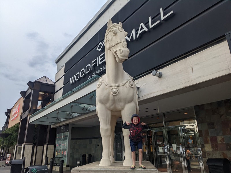 horses
