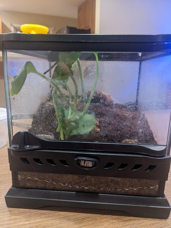 enclosure