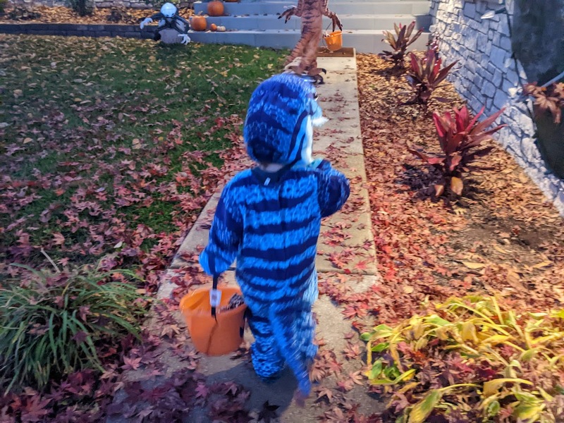 trick-or-treating