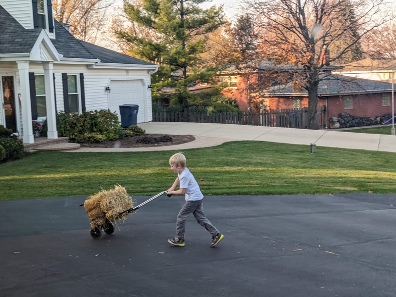 farmboy