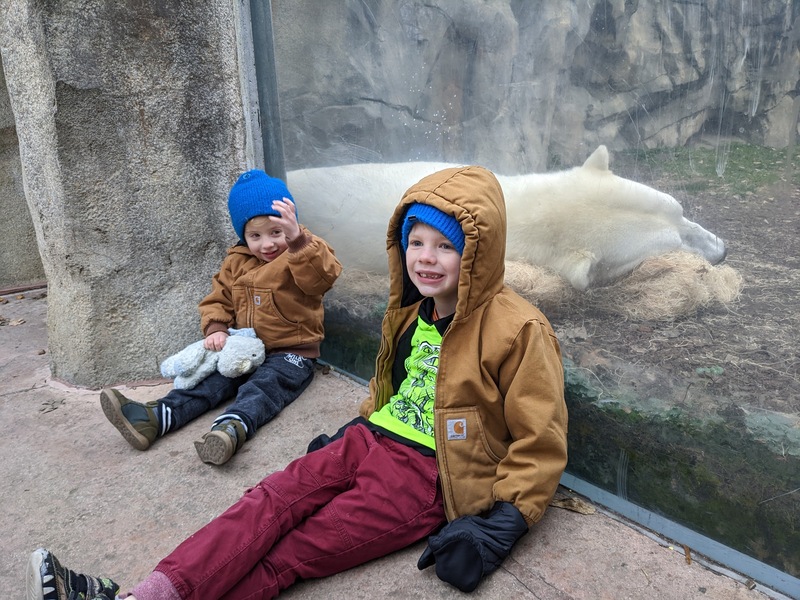 polar-bear