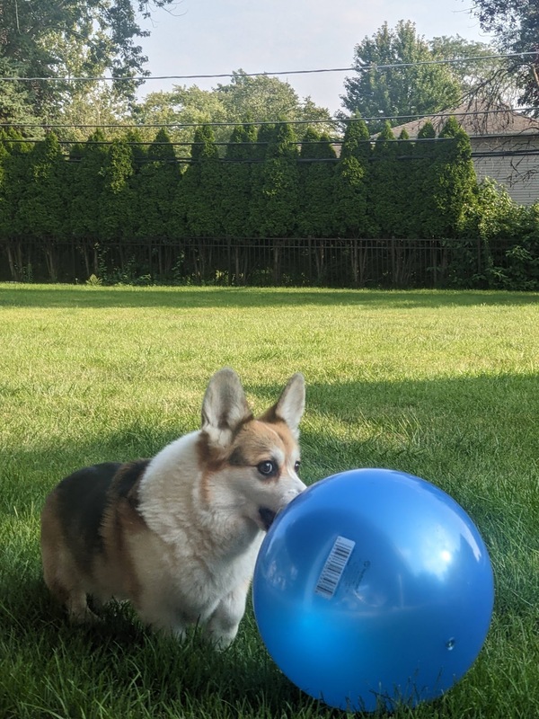 ball
