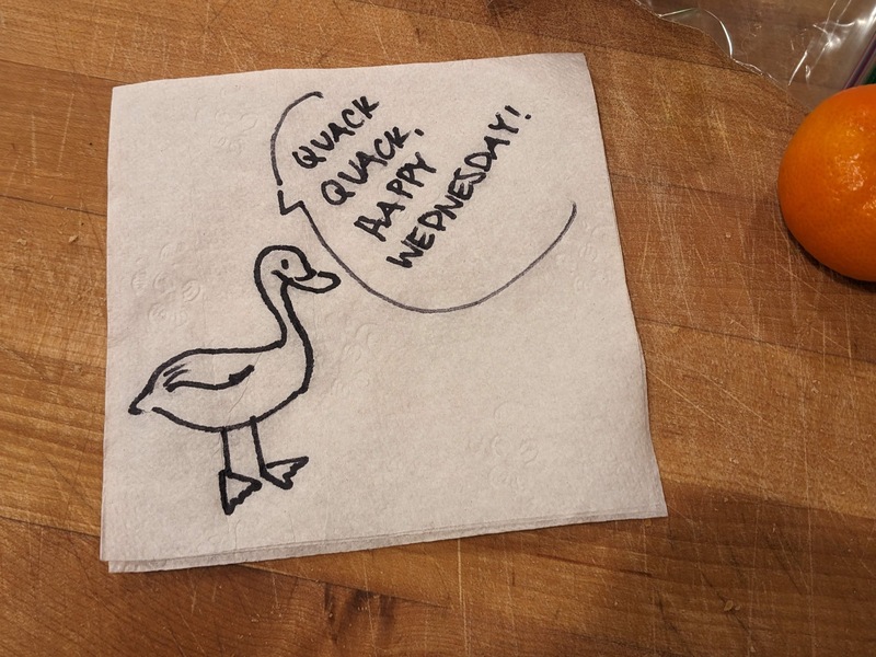 wednesday-duck-napkin